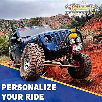 Amazon.com: Cruiser Accessories 22230 鐵絲網II 車牌框架,鉻色
